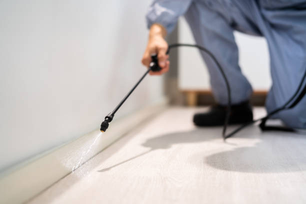 Certified termite inspector examining foundation in Glen Rock