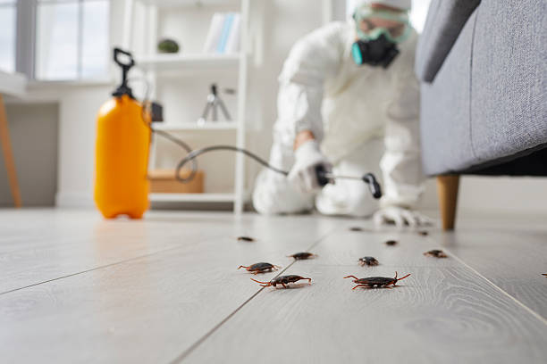 Commercial Rodent Management in Glen Rock